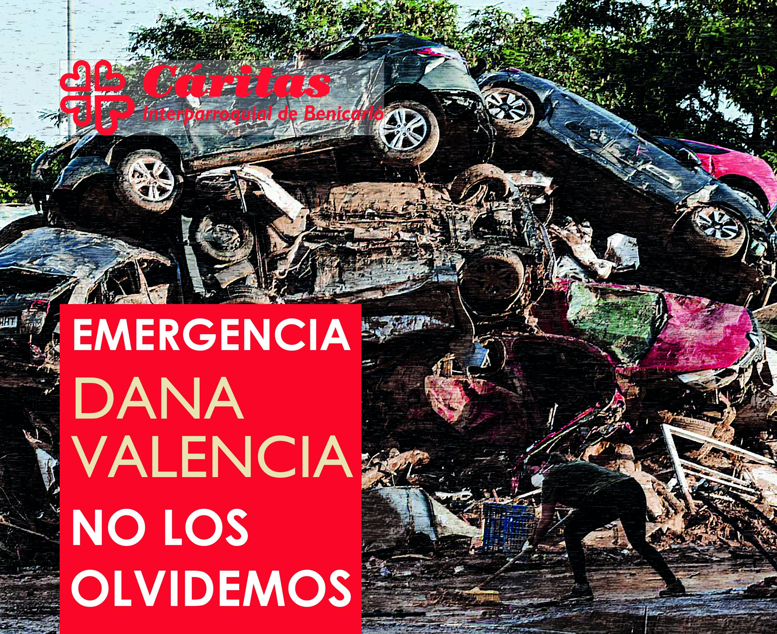 Dana Vlc